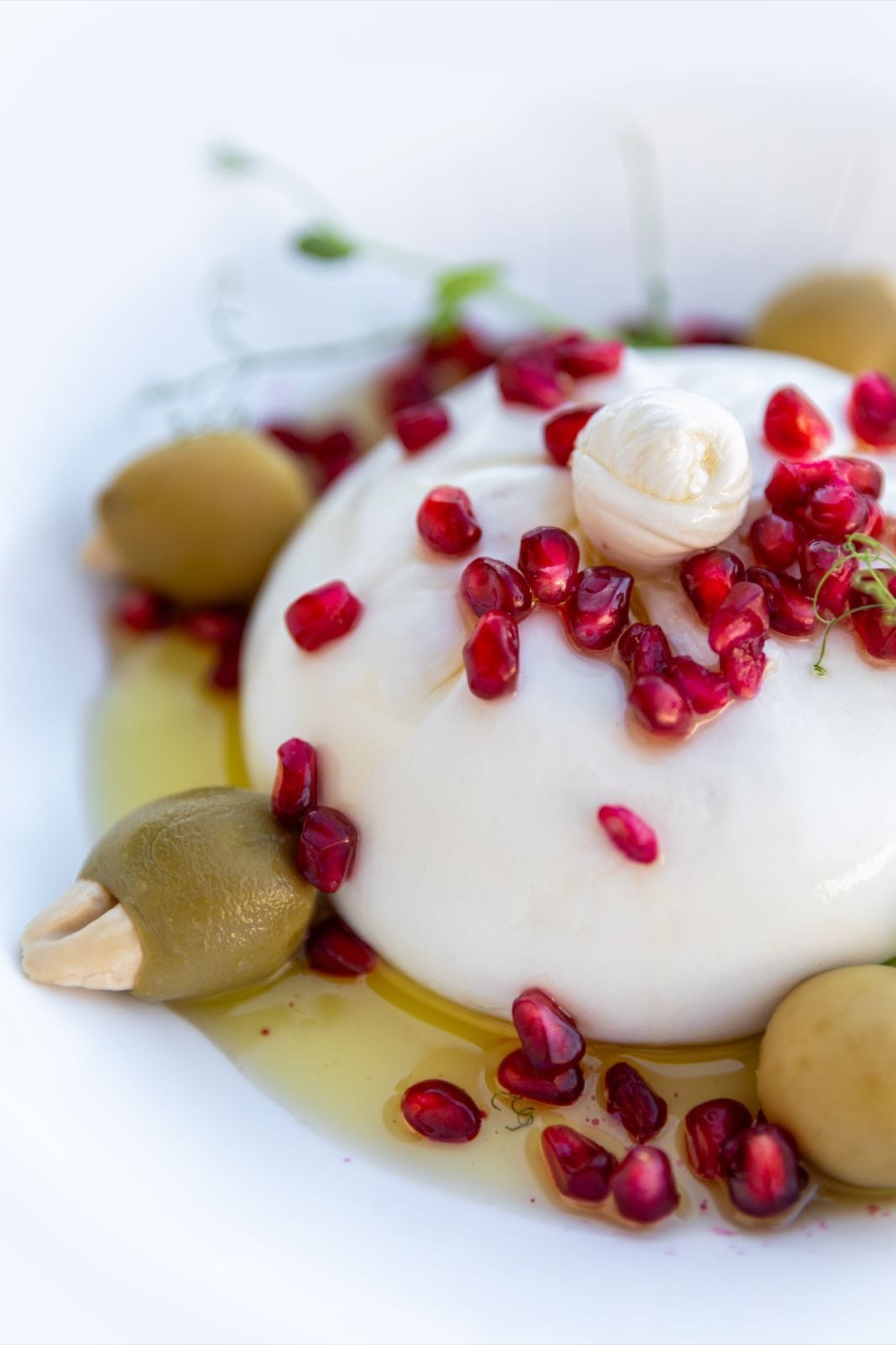 Burrata sa narom i maslinama izbliza