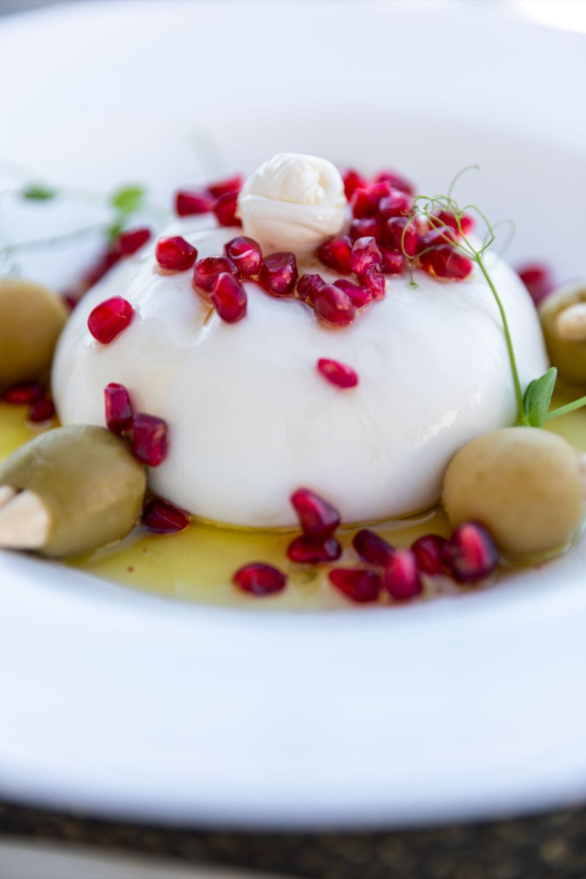 Burrata sir sa narom i maslinama na tanjiru